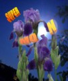 /album/kepgaleria-fotomontazsok-vegyes-fantazia-kepek/sup-moon-flo-j-jpg/